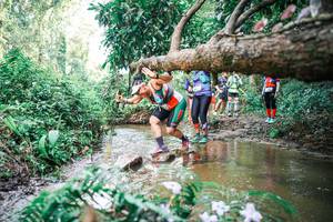 BIB: 
                            <button type="button" onclick="openModal(25517781)" class="btn btn-primary btn-sm float-right btn-popup" data-toggle="modal" data-target=".modal-high-quality">
                        <i class="fas fa-shopping-cart"></i> Add to Cart
                    </button>
                                            <button type="button" onclick="isThisMe(25517781, true)" class="btn btn-success btn-sm float-right btn-popup btn-isme hidden" data-toggle="tooltip" data-placement="bottom" title="นี่คือรูปของคุณใช่ไหม คลิกที่นี่เพื่อเอาเข้าอัลบั้ม">
                        <i class="fas fa-plus"></i> Add to album
                    </button>
                    <button type="button" onclick="isThisMe(25517781, false)" class="btn btn-warning btn-sm float-right btn-popup btn-isnotme hidden">
                        <i class="fas fa-ban"></i> Remove from album
                    </button>